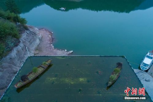 浙江现屋顶养鱼引围观 还有两艘木制的小船（图)